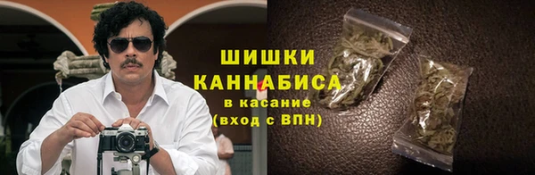 индика Балабаново