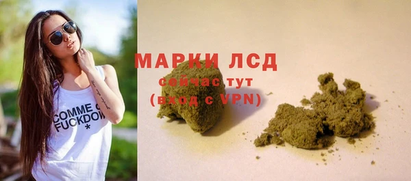 индика Балабаново