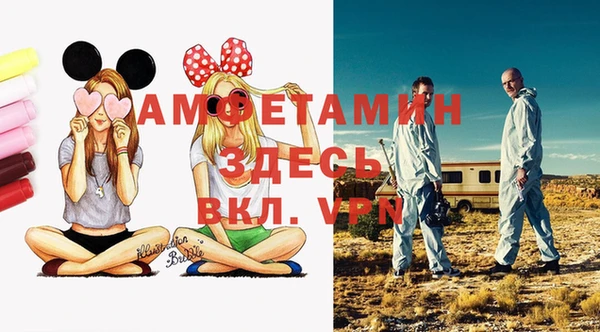 индика Балабаново