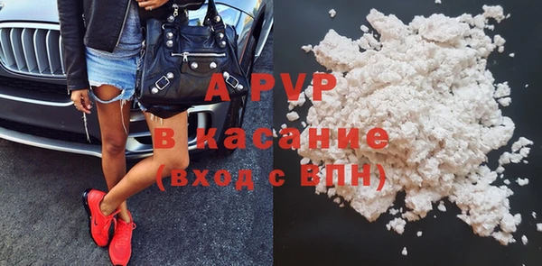 индика Балабаново