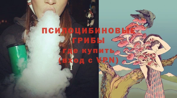 дмт Баксан