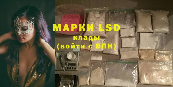 индика Балабаново