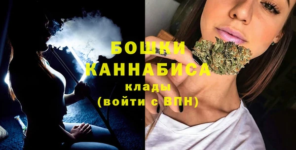 индика Балабаново