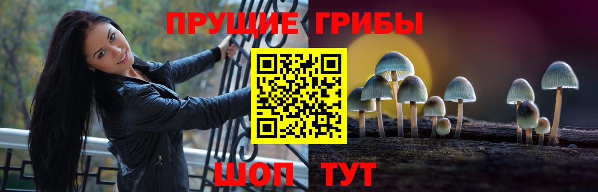 Галлюциногенные грибы ЛСД Благодарный