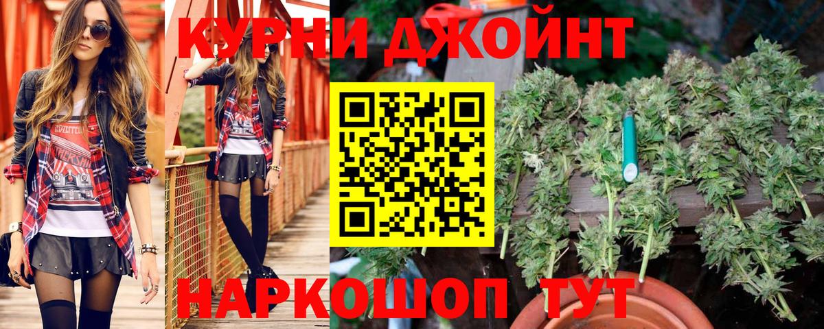 Марихуана сатива  Вход с VPN  Каннабис SATIVA & INDICA  Шишки марихуана планчик  Благодарный 